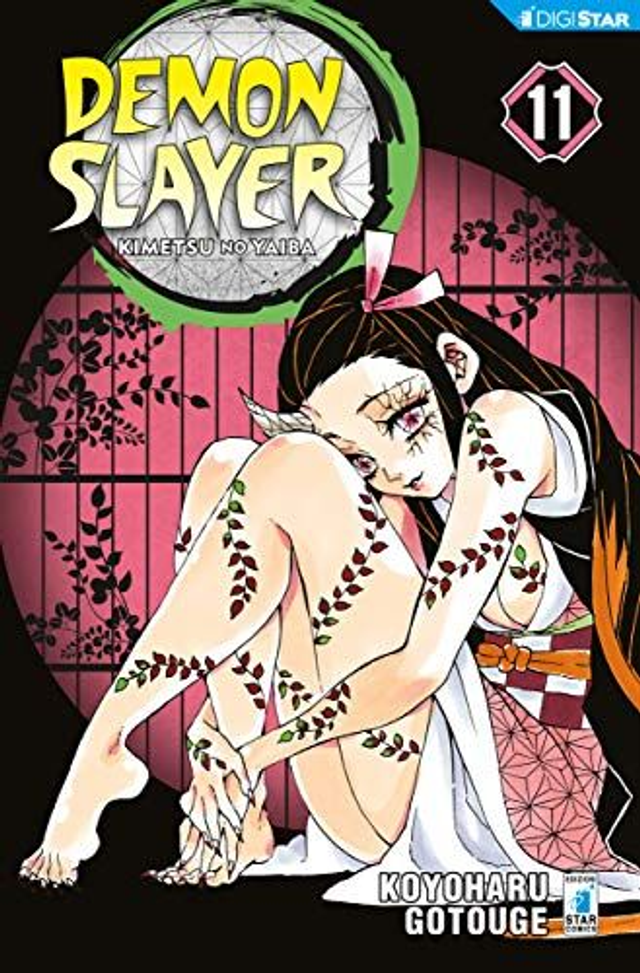 Demon Slayer 11