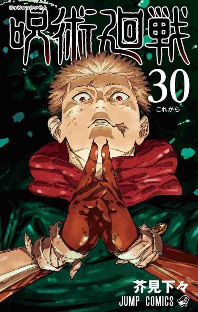 Jujutsu Kaisen Volume 30