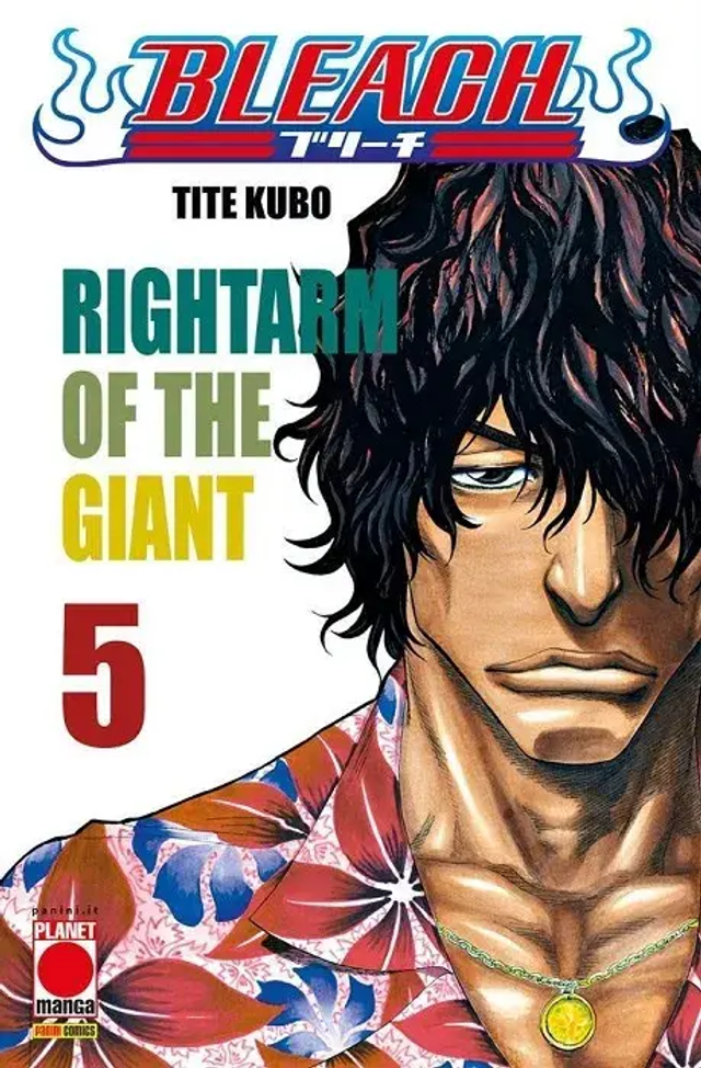 Bleach - Volume 5